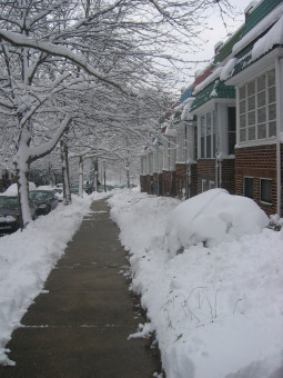 snowy_sidewalk-255x340